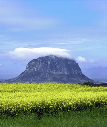 Mount Hallasan: A Solemn Witness to a Millennia-Old History