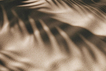 Shadow of palm leaves on a sandy surface